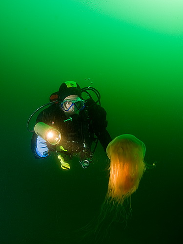Looking at jelly